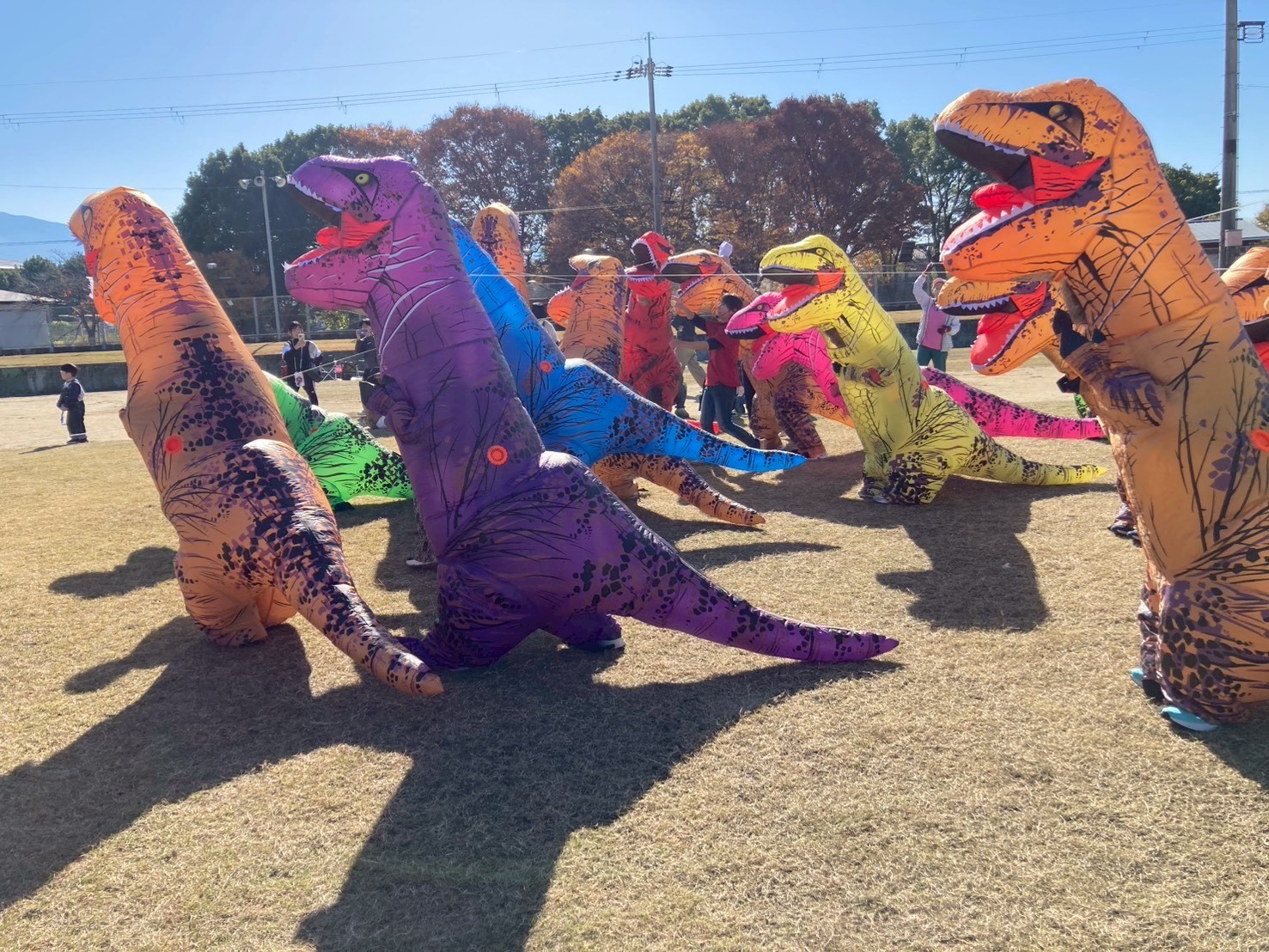 6ab7d0b5e4942aba28dd12a5cb5e9df5-1769307197.jpg 6ab7d0b5e4942aba28dd12a5cb5e9df5-1769307197.jpg